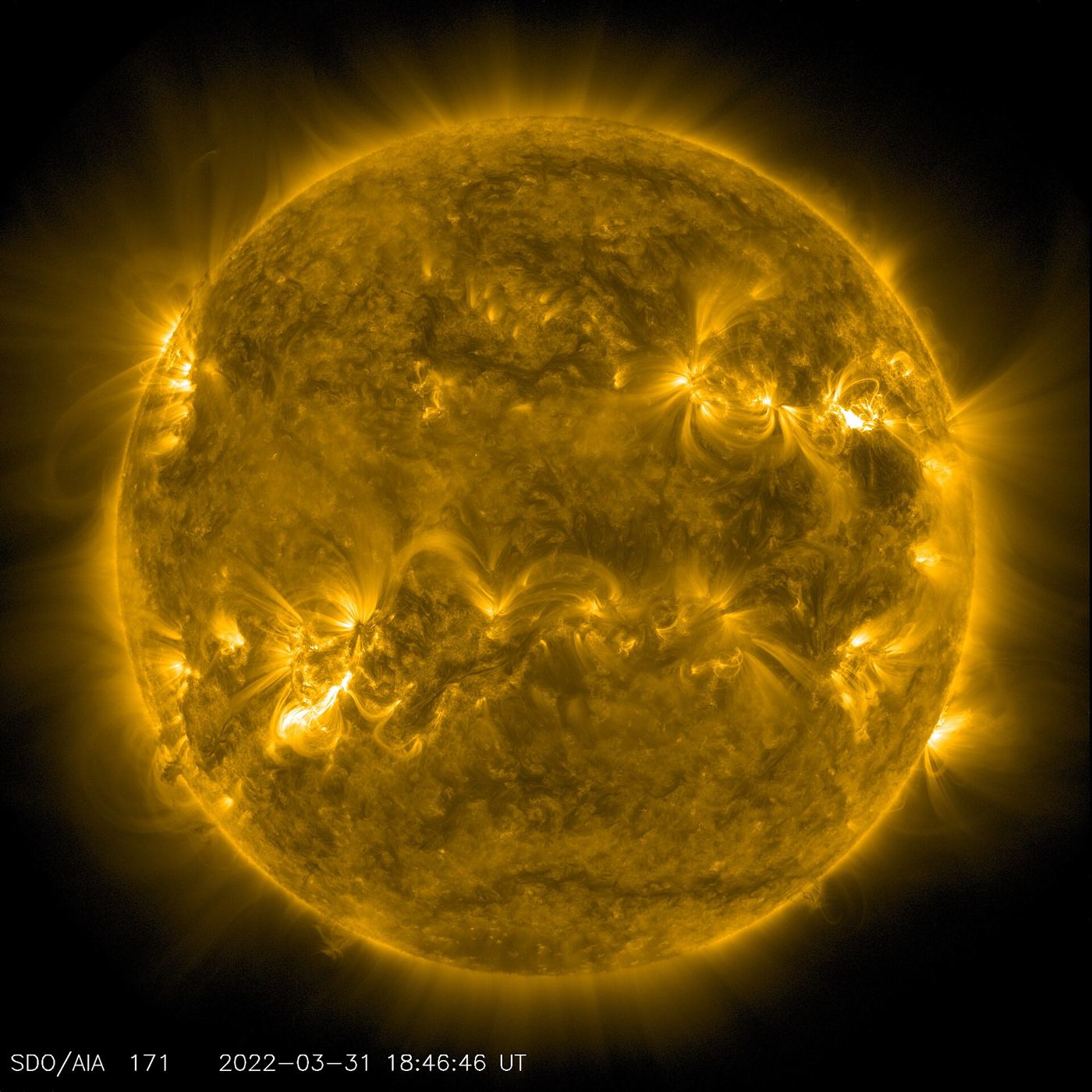 The sun erupting with a bright solar flare, captured by a space telescope against the darkness of space.